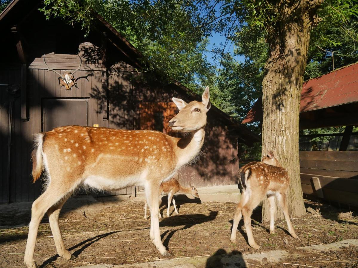 Penzion Obora Prostřední Bečva Eksteriør bilde